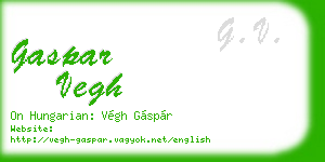 gaspar vegh business card